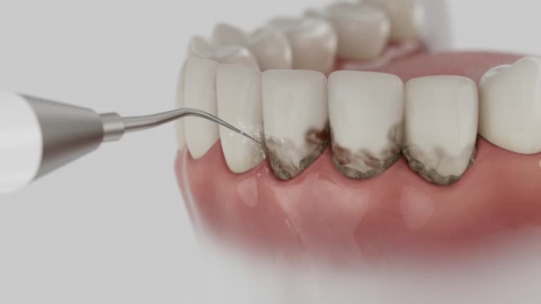 Reliable Dental contractor in Harrison, TN by Dentist Open Now
